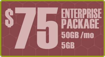 Enterprise Package