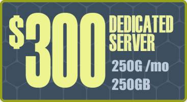 More info about Web Hosting - Dedicated Server