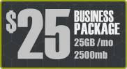 eCommerce Web Hosting - Website Hosting - Business Package