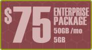 eCommerce Web Hosting - Website Hosting - Enterprise Package